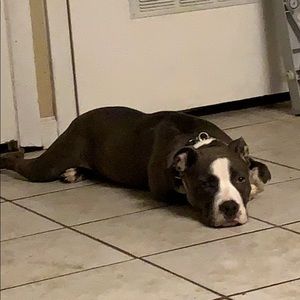 Meet your Posher, Jon